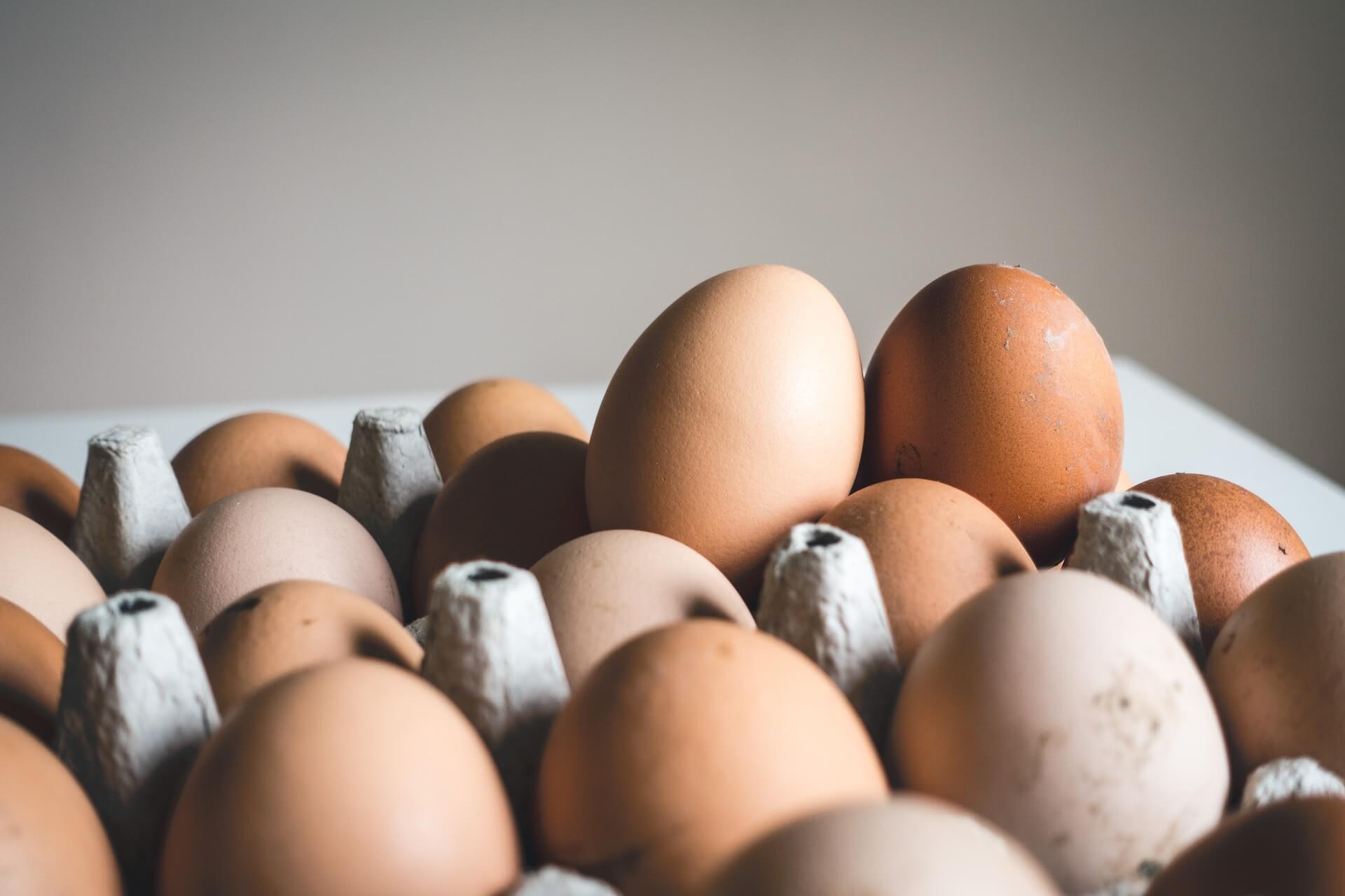 4 benefícios do ovo