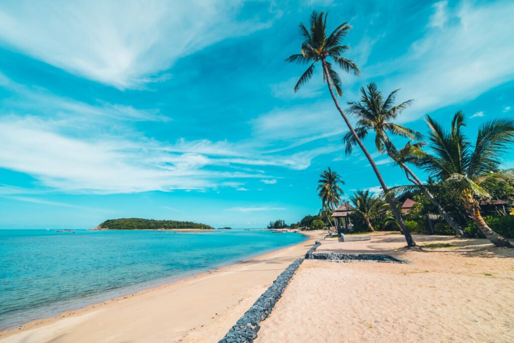 Dicas de viagem